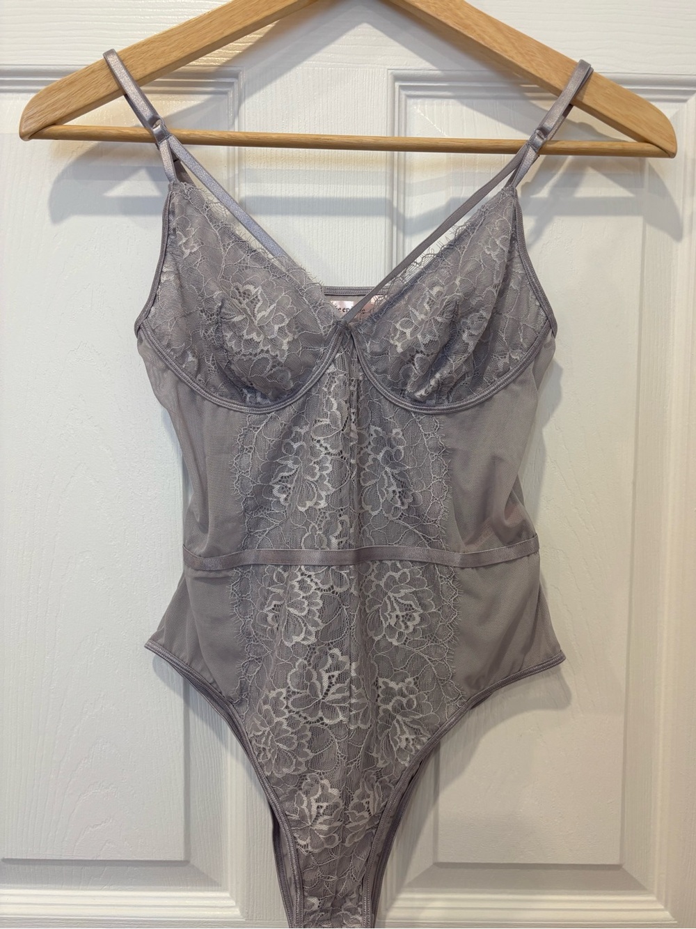 La Vie En Rose Light Greyish Mauve Lace Mesh Teddy Bodysuit Size Small Like New